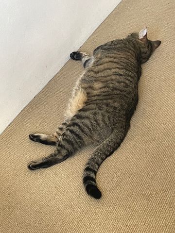 Alexandria - Photo 3