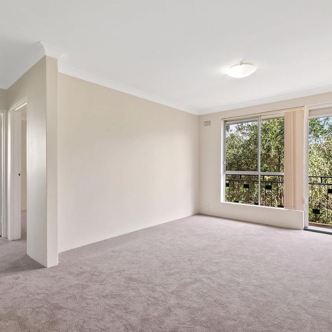 Sunny, Light and Bright 2 Bedroom Apartment - Photo 1