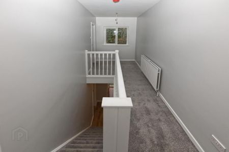 75 Hillside Road, Ballynahinch, BT24 8UL - Photo 4