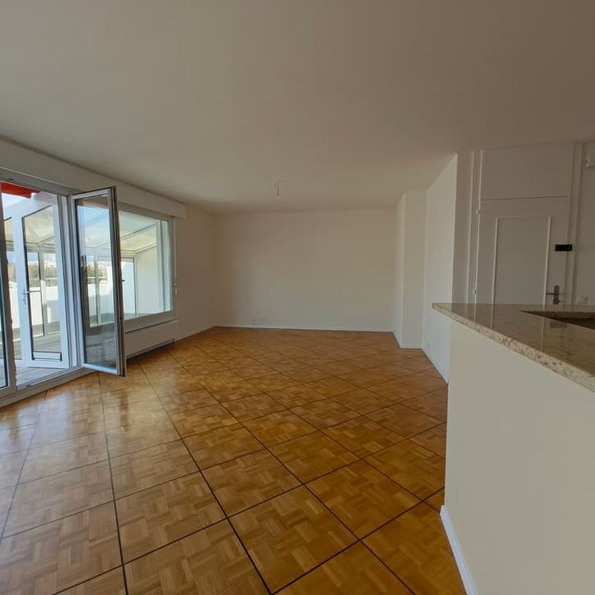 Charmant appartement traversant en attique, avec 2 terrasses - Foto 1