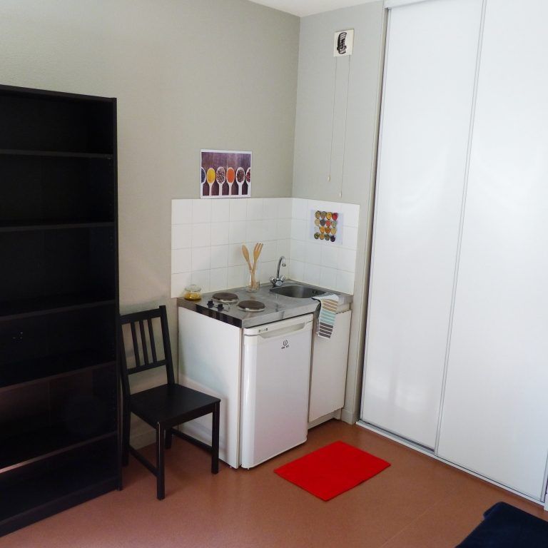Location Appartement 1 pièce 17m² GRENOBLE 38000 - Photo 1