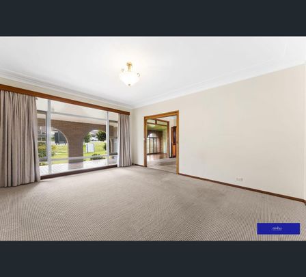 37 Joslin Street, Kotara, NSW 2289 - Photo 1