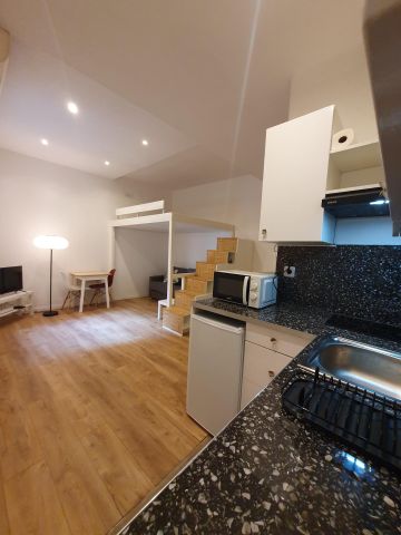 Location Appartement 1 pièce 29m² NICE 06000 - Photo 3