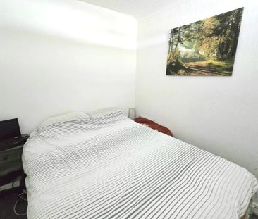 Tiptree Drive - Photo 2