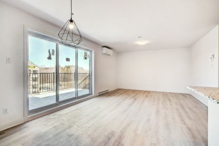 404 Av. Barron Lachute, QC J0H - Photo 2