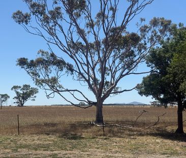 Lovely Banks - Photo 6