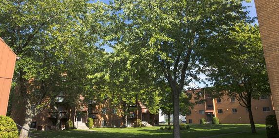 2 1/2 - Charny - Tout inclus - libre immédiatement - Photo 2