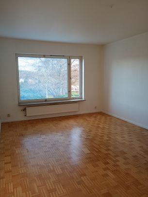 Ekbacken, Asarum - Photo 1