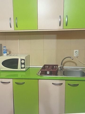 Dimtrie leonida demisol drumul fermei - Fotografie 3