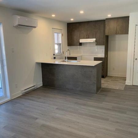 Appartement Grand 3 1/2 à Laval à louer - Photo 3