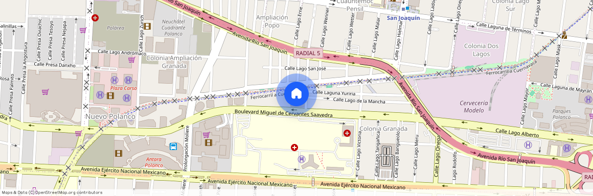 Calle Lago de la Mancha, Granada, Polanco, Ciudad de México, Miguel Hidalgo, Ciudad de México, 11520, México