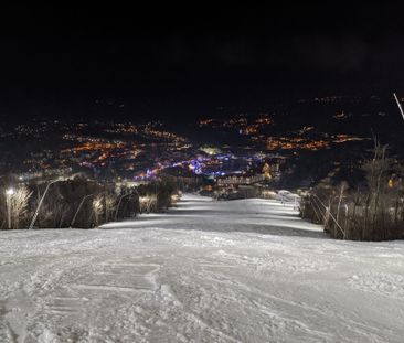 For Lease - 23 Gregory Avenue, Collingwood, Ontario - Photo 6