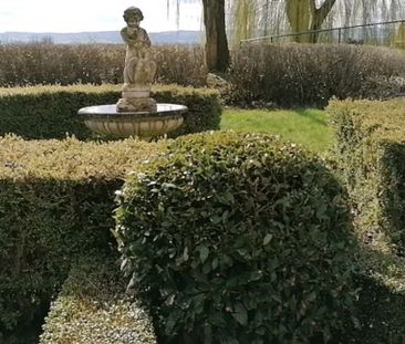 Bungalow te huur in Elsegem voor € 1.200 met 2 slaapkamers - Photo 5