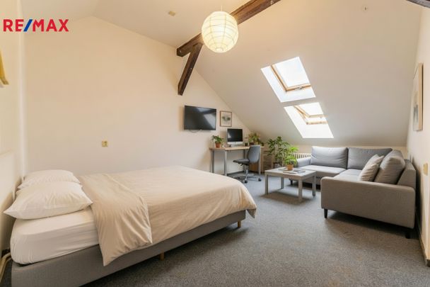 Pronájem bytu 1+1 v osobním vlastnictví 33 m², Roudnice nad Labem - Fotografie 1
