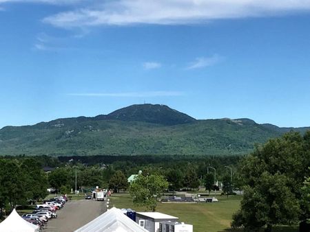 Rue Principale O., J1X 3B8, Magog - Photo 2