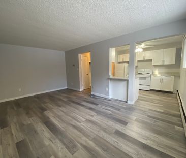 Hillcrest Manor - Photo 5