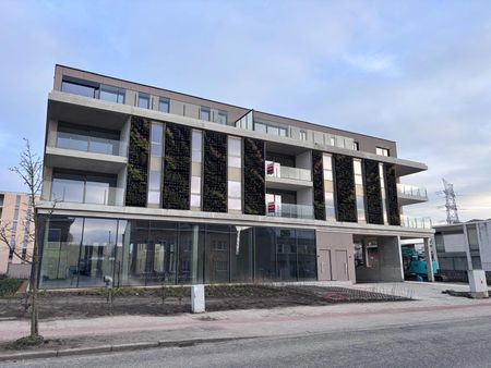 Schelle - Appartement - Foto 5