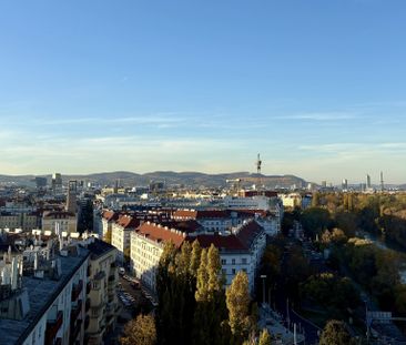 TOP-Ausblick: City mit Stephansdom, Donaukanal, Prater. Concierge, ... - Foto 3