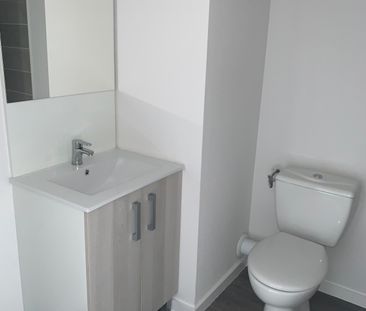 Location Appartement 1 pièce 19m² AUZEVILLE TOLOSANE 31320 - Photo 4