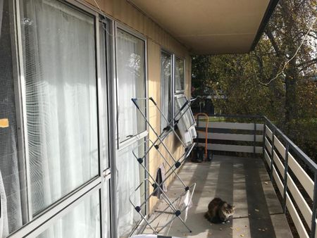 Tidy One Bedroom Unit with Central Location - Photo 4