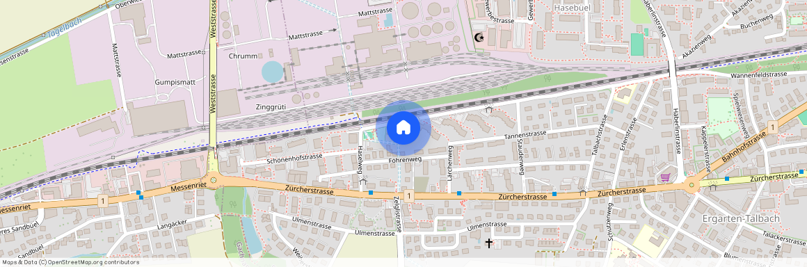 8500, Frauenfeld, Wannenfeldstrasse, 93