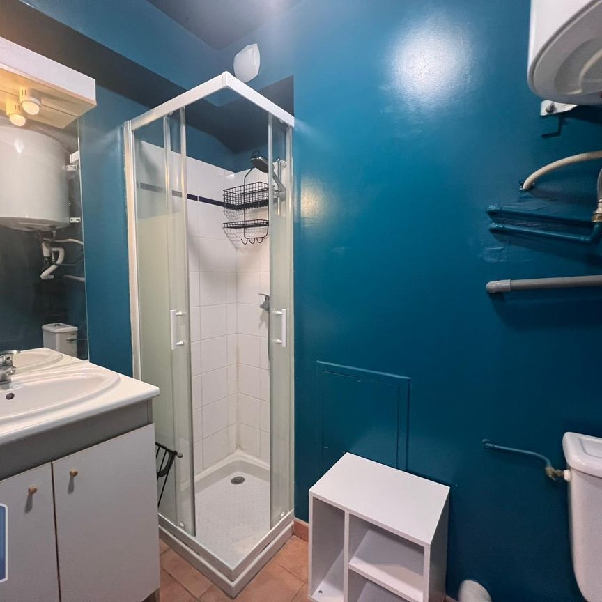 Location Appartement 1 pièce 16m² AVIGNON 84000 - Photo 1