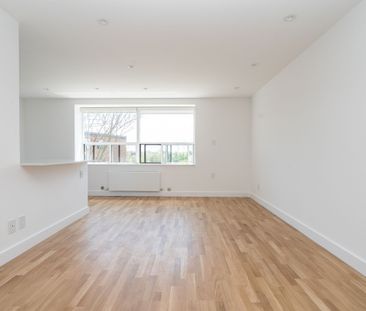 55 Eccleston Drive - Photo 4