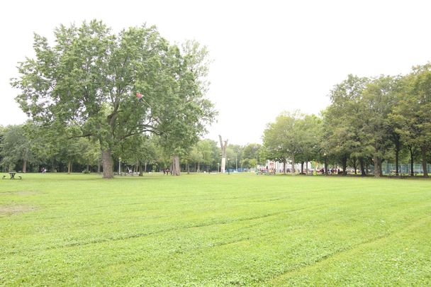 Appartement à louer, Montréal (Ville-Marie) - Photo 1