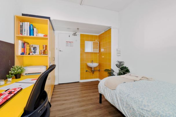 Studio Single Plus - Photo 1