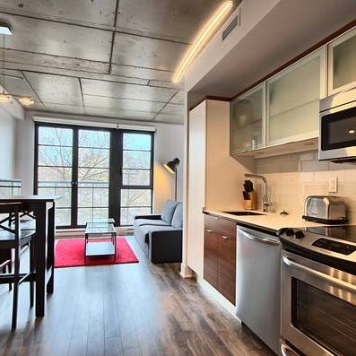 Gallery -Amazing fully furnished open loft/studios-Griffintown - Photo 3