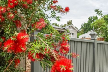 Healesville, 3777, Healesville Vic - Photo 5