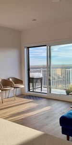 Superbe 5 1/2 adossé à un champ 5 mins des services St-Hyacinthe - appartement / logement à louer - Photo 3