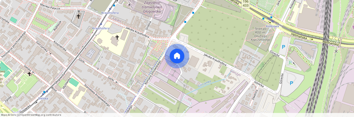 ul. Romana Dmowskiego, Górczyn, Grunwald, Poznań, wielkopolskie