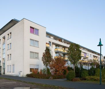 380-52 Pariser Str. 37 in Bonn-Auerberg – 3 Zimmer, 76,30 m² mit WBS – Kaltmiete: 554,95 € - Foto 4