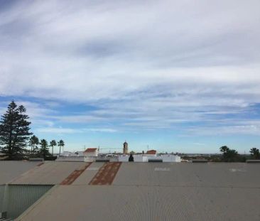 Palmera - Photo 2