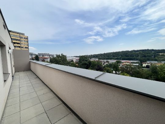 Moderne 3 Zimmer Wohnung mit Dachterrasse - Photo 1