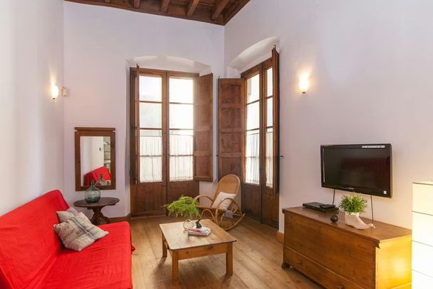 Carrer del Correu Vell, Barcelona, Catalonia 08002 - Photo 1