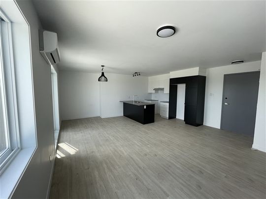 3½ (juillet) 205-842 rue Lamarche, Sherbrooke J1H 0M9 - Photo 1