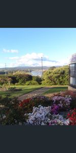 Cozy & Convenient 1-Bedroom Apartment - Photo 4