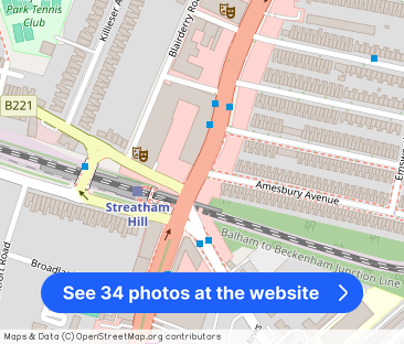 Amesbury Avenue, Streatham Hill, SW2 - Photo 1