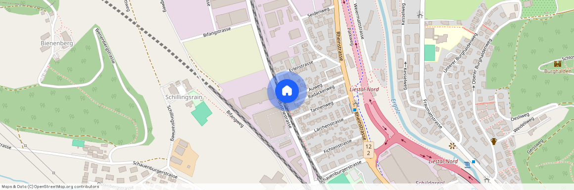 Auweg 16 4410 Liestal