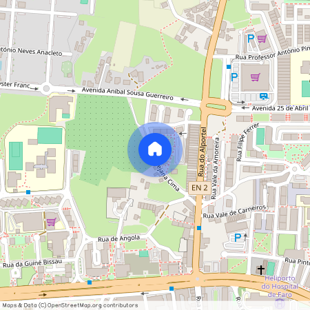 José Domingos Domingues, Faro