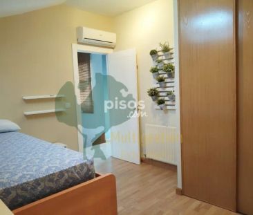 Dúplex en alquiler en Sur - Photo 2