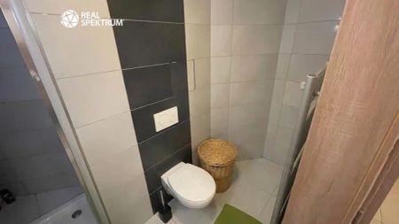 Pronájem bytu 1+kk 48 m - Fotografie 4