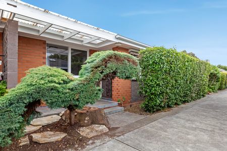 6/55A Coorigil Road, Carnegie VIC 3163 - Apartment For Rent | Domain - Photo 4