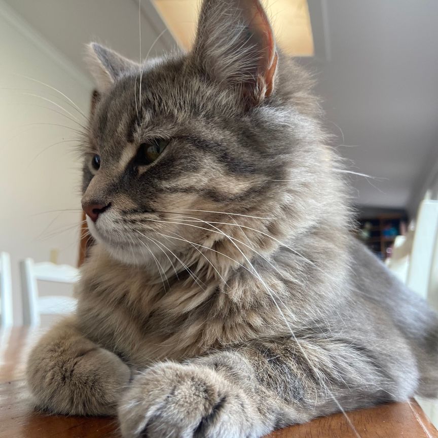 West Croydon - Photo 2