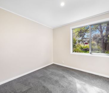 18 Aurora Close, Mawson ACT 2607 - House For Rent | Domain - Photo 6