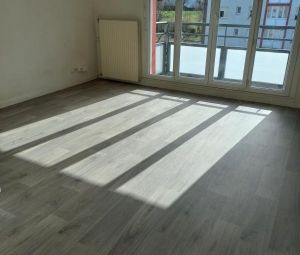 Location Appartement à PRESSINS - Photo 6