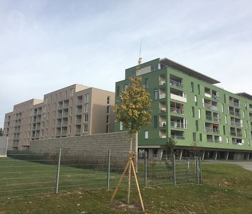 8020 Graz - Waagner-Biro-Straße 69a/7 - Photo 3