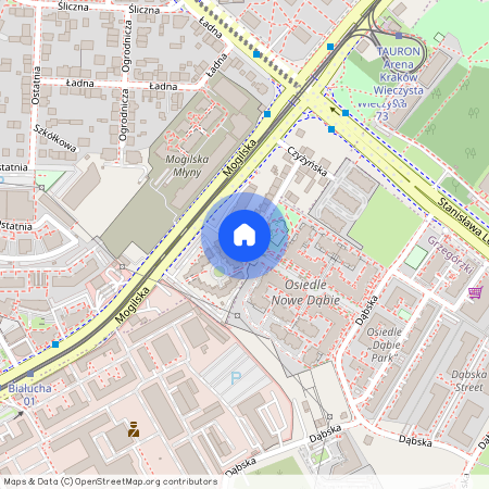 ul. Czyżyńska, Rakowice, Prądnik Czerwony, Kraków, małopolskie